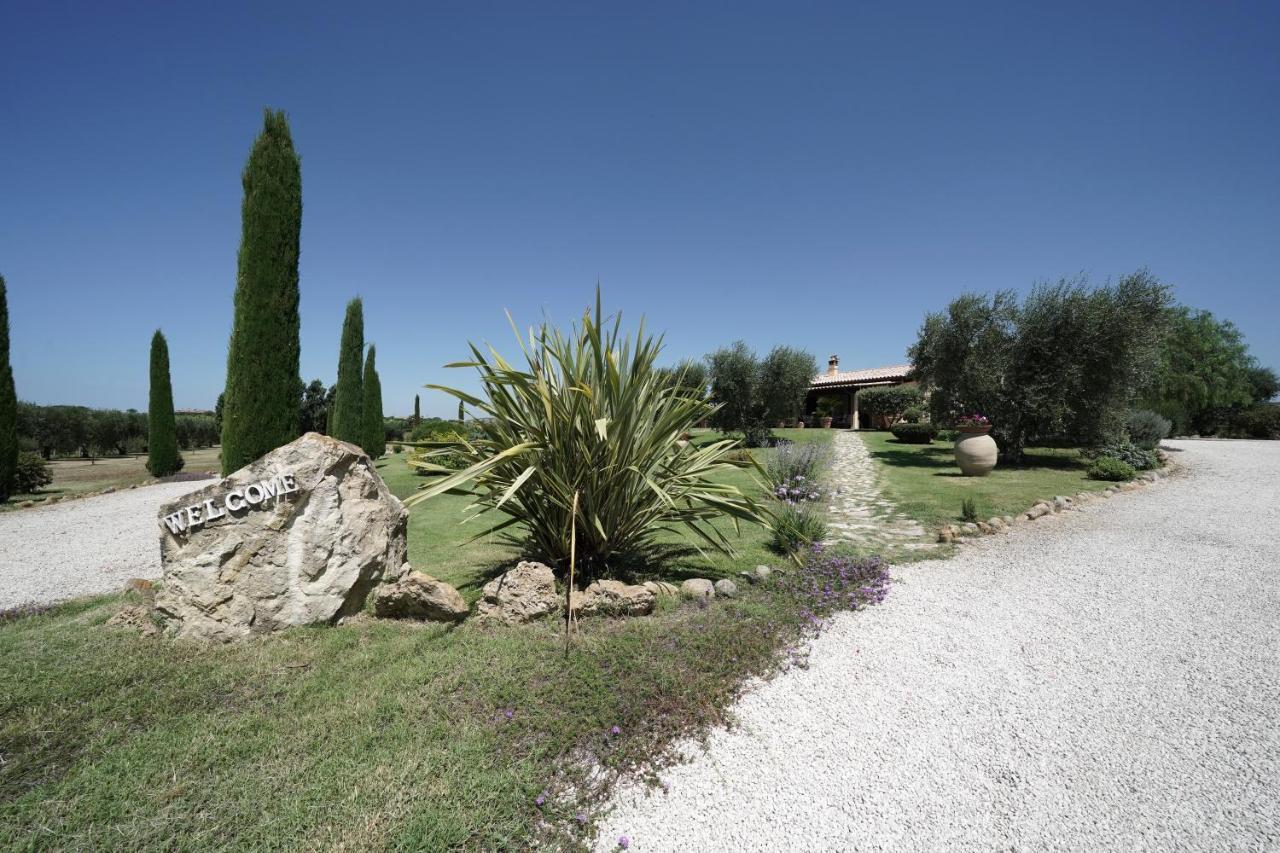 Casa Degli Ulivi Bed and Breakfast Cerveteri Εξωτερικό φωτογραφία